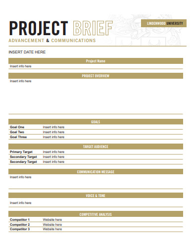 sample project brief template