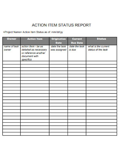 action item status report