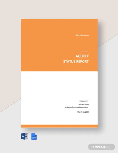 agency status report template
