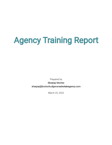 agency training report template