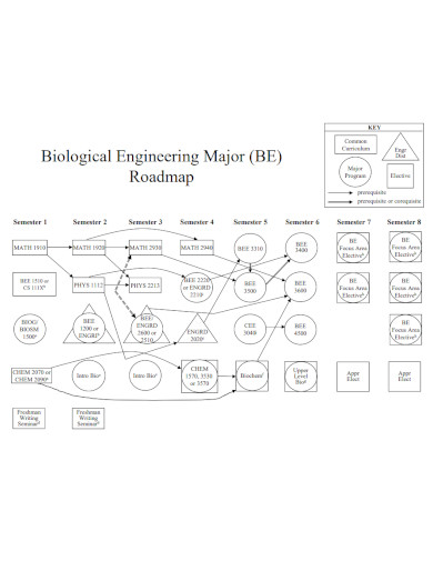 biological engineering roadmap