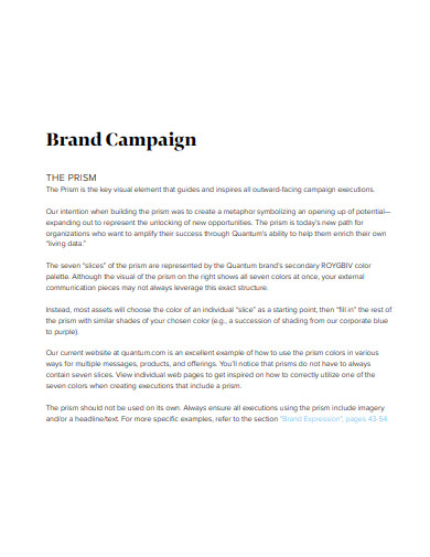 brand campaign guidelines