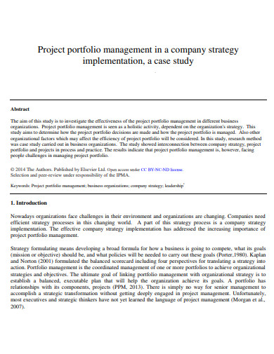 company project portfolio management