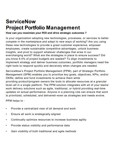 company project portfolio management1
