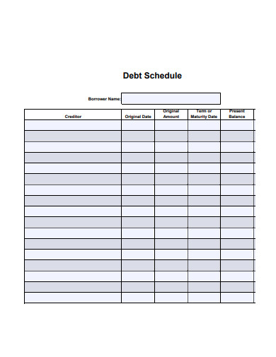 debt schedule example