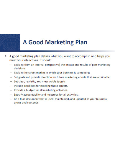 developing a project marketing plan 