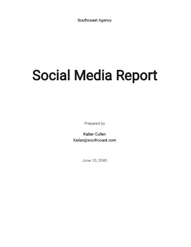 editable social media report