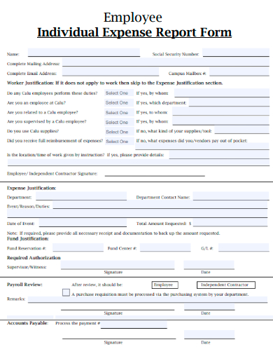 employee individual expense report form