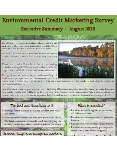 environmental credit marketing survey