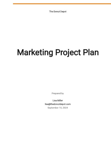 free sample marketing project plan template