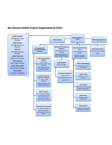 health project organizational chart