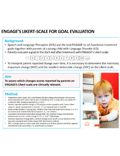 likert scale evaluation