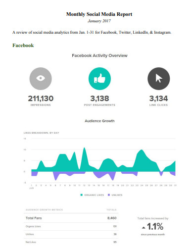 monthly social media report