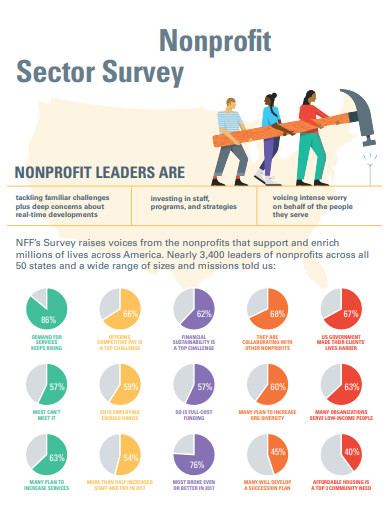 nonprofit sector survey