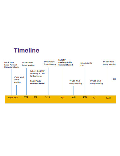 payment roadmap development timeline