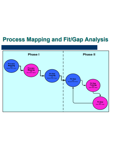 process mapping and fit gap analysis
