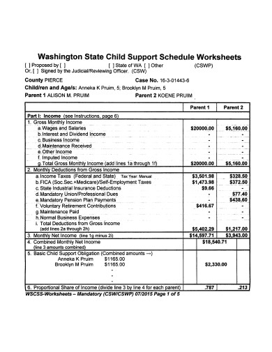 professional child support worksheet