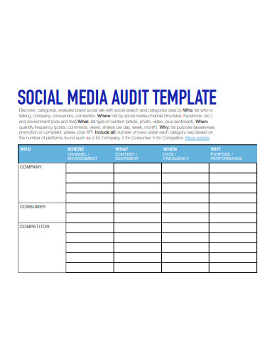 professional social media audit