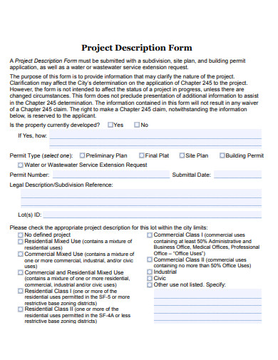 project description form