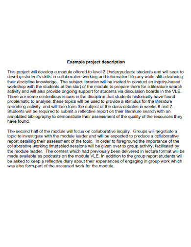FREE 24 Project Description Samples In PDF MS Word