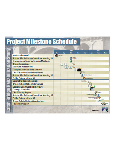 project milestone schedule