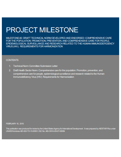 project milestone