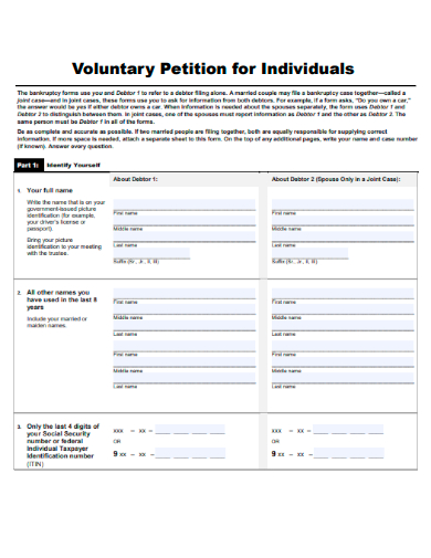 voluntary petition for individuals
