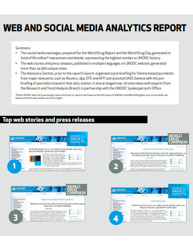web and social media analytics report