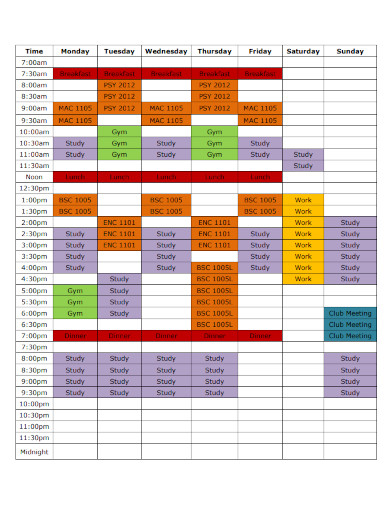 weekly hourley study schedule