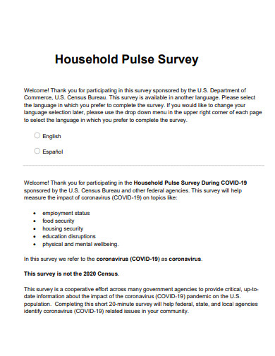 covid 19 household pulse survey