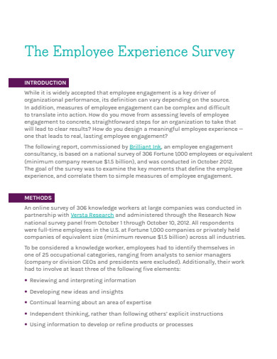 employee experience survey