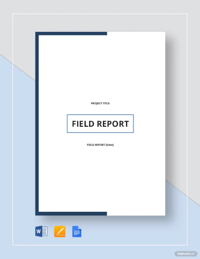 FREE 15 Field Report Samples In PDF MS Word