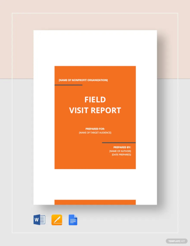 field visit report template
