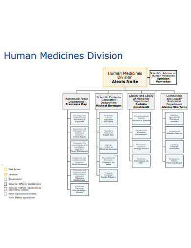 human medicines division chart
