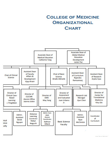 medicine college organizational chart