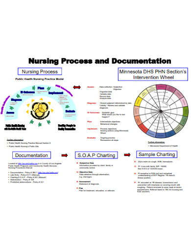 nursing process and documentation