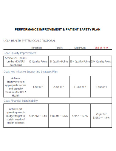 performance improvement and patient safety plan
