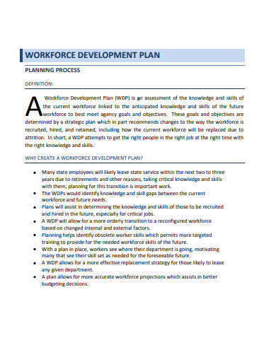 sample workforce development plan