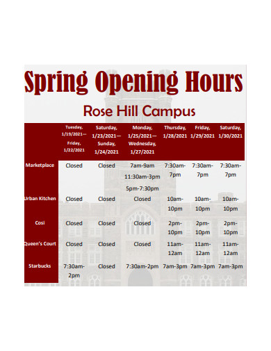 spring opening hours
