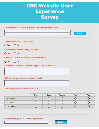 website user experience survey