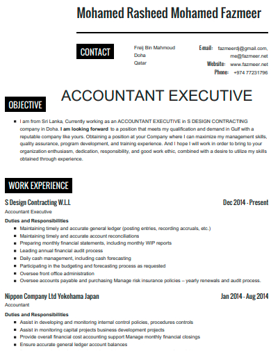 accountant executive resume