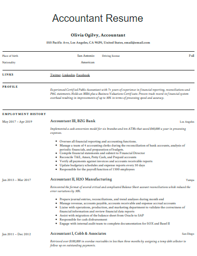 accountant resume example