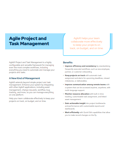 agile project and task management