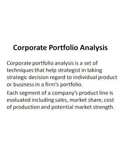 corporate portfolio analysis 