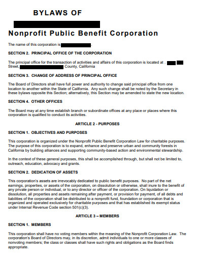 nonprofit public benefit corporation bylaws