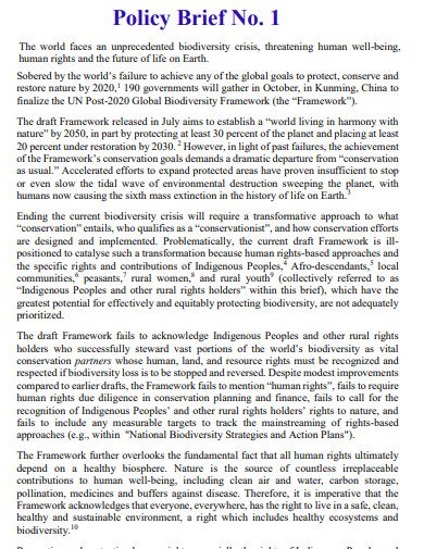 policy brief for human rights