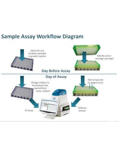 sample assay workflow diagram