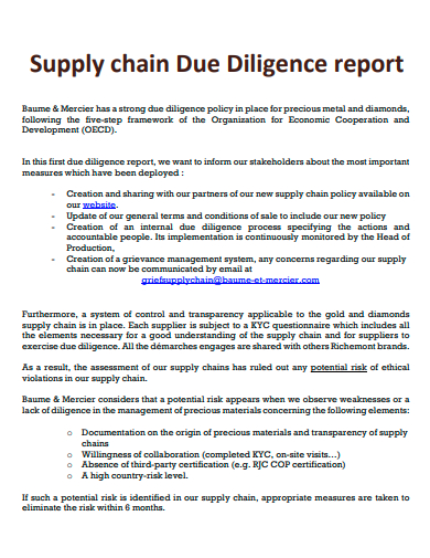 supply chain due diligence report