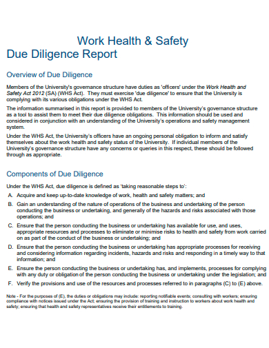 work health and safety due diligence report