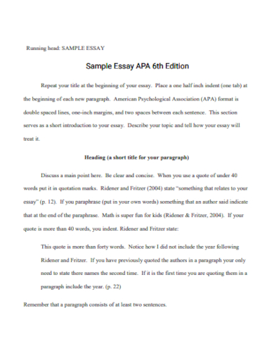 apa 6th edition essay